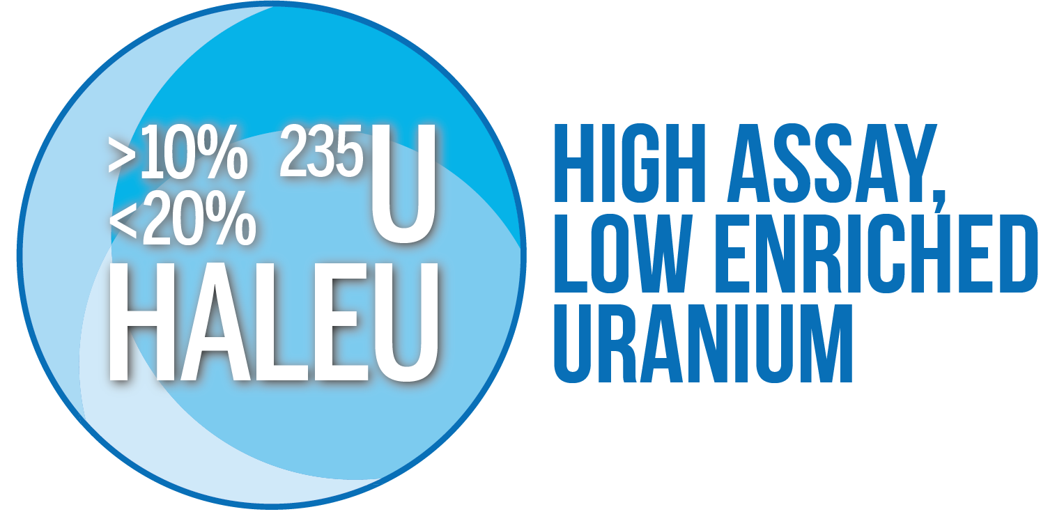 image showing HALEU fuel stats